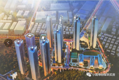 大运新城坳二村旧改 投资兴办实业的独家资源与战略机遇